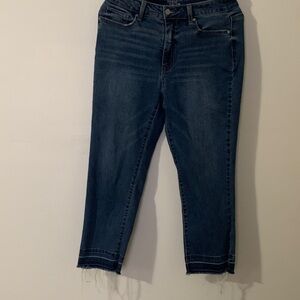 Time and Tru Dark Blue Ankle Jeans